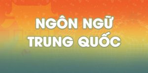 văn bằng 2 Ngôn ngữ Trung online